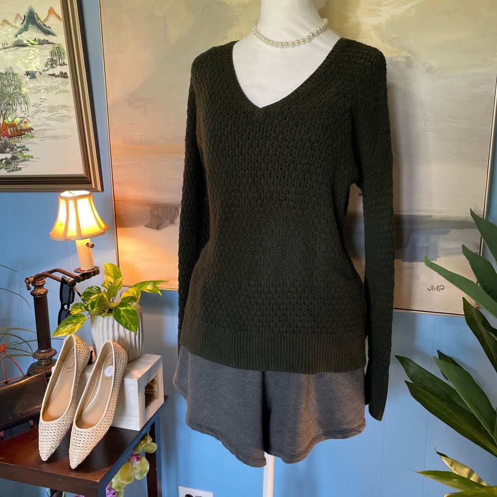American Eagle Outfitters Deep Green V-Neck Sweater